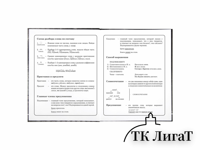 Дневник 1-4 класс 48 л., твердый, BRAUBERG, выборочный лак, с подсказом, 
