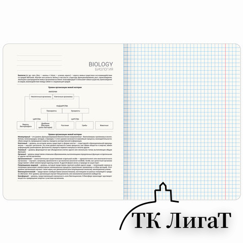 Тетрадь предметная ДАТЫ 48 л., TWIN-лак, БИОЛОГИЯ, клетка, подсказ, BRAUBERG, 405125