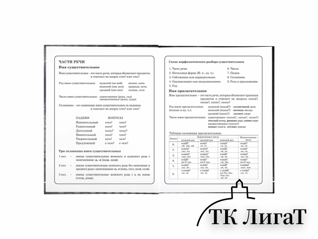 Дневник 1-4 класс 48 л., твердый, BRAUBERG, выборочный лак, с подсказом, 