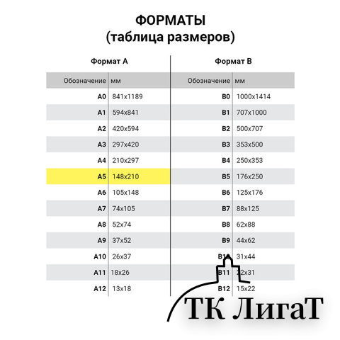 Тетрадь 12 л. BRAUBERG, клетка, обложка картон, ТОЧКИ, 103023