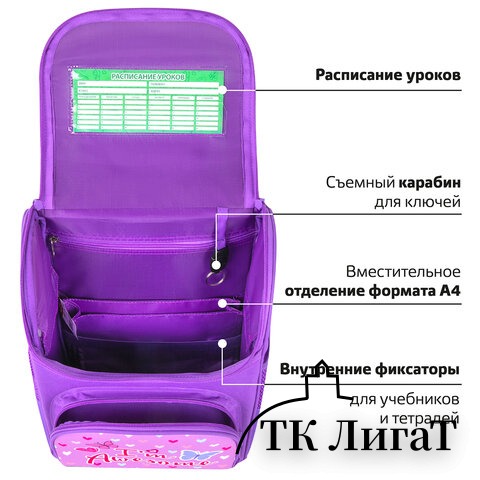 Ранец ПИФАГОР BASIC, 1 отделение, 3 кармана, эргономичная спинка, 