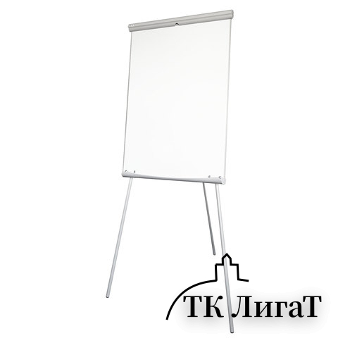 Доска-флипчарт магнитно-маркерная 70x100 см, на треноге, 2х3 ECO, (Польша), TF01 ECO