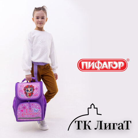 Ранец ПИФАГОР BASIC, 1 отделение, 3 кармана, эргономичная спинка, 