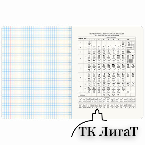 Тетрадь предметная МЕМЫ 48л, TWIN лак, ХИМИЯ, клетка, подсказ, BRAUBERG, 405107