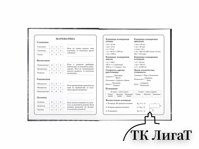 Дневник 1-4 класс 48 л., твердый, BRAUBERG, выборочный лак, с подсказом, 