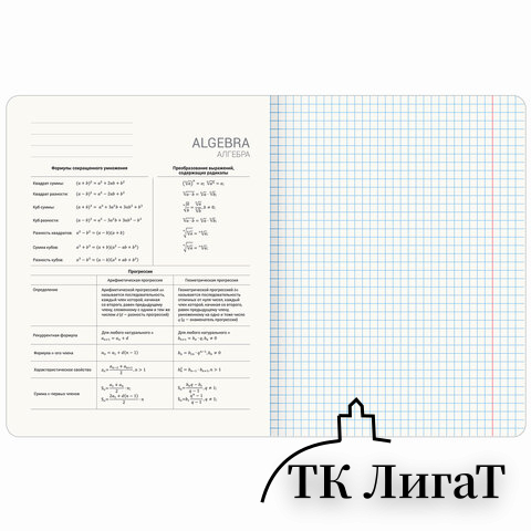 Тетрадь предметная ДАТЫ 48л, TWIN-лак, АЛГЕБРА, клетка, подсказ, BRAUBERG, 405122