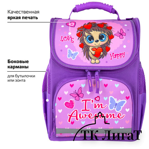 Ранец ПИФАГОР BASIC, 1 отделение, 3 кармана, эргономичная спинка, 