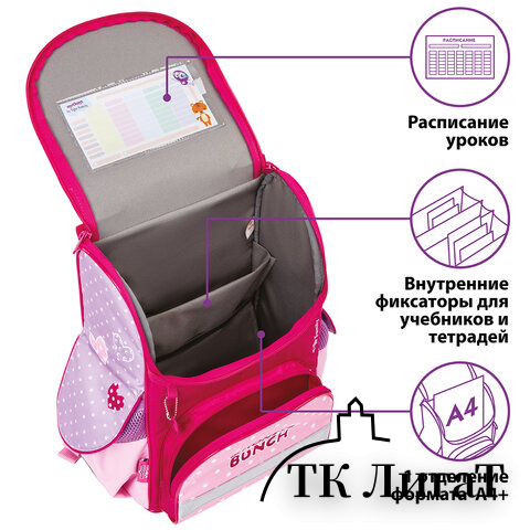 Ранец ЮНЛАНДИЯ by TIGER FAMILY, Эргономичный, 