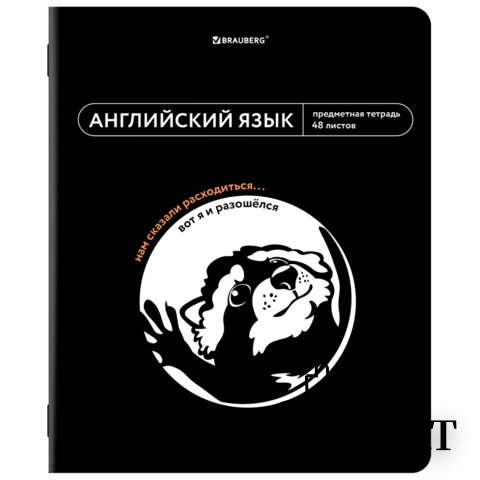 Тетрадь предметная МЕМЫ 48 л., TWIN-лак, АНГЛИЙСКИЙ ЯЗЫК, клетка, подсказ, BRAUBERG, 405098