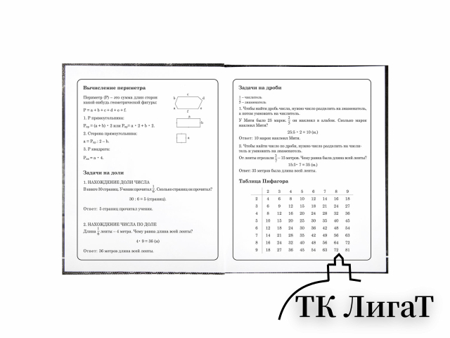 Дневник 1-4 класс 48 л., твердый, BRAUBERG, выборочный лак, с подсказом, 